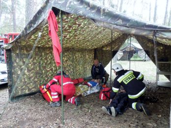 Ćwiczenia Ratowniczne Krówka Leśna