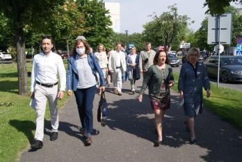 Budowanie i łączenie miast świadomych roli pszczół w Europie