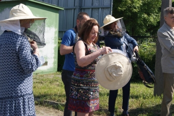 Budowanie i łączenie miast świadomych roli pszczół w Europie