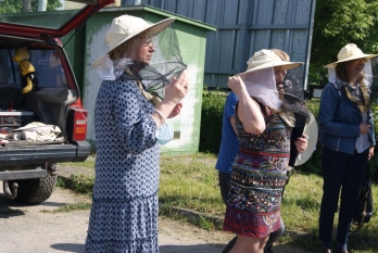 Budowanie i łączenie miast świadomych roli pszczół w Europie