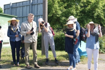 Budowanie i łączenie miast świadomych roli pszczół w Europie