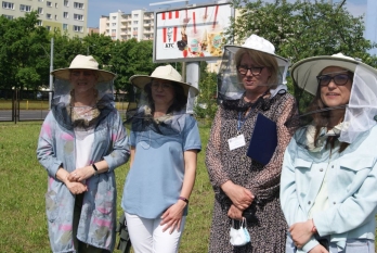 Budowanie i łączenie miast świadomych roli pszczół w Europie