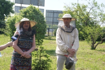 Budowanie i łączenie miast świadomych roli pszczół w Europie