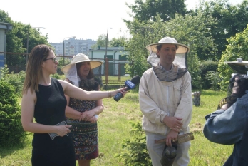 Budowanie i łączenie miast świadomych roli pszczół w Europie