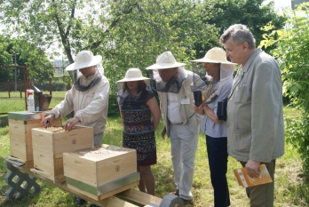 Budowanie i łączenie miast świadomych roli pszczół w Europie